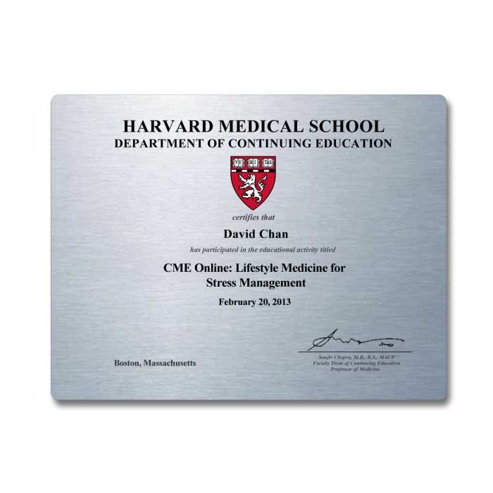 8.5"x11" Certificate (Metallic Underlay)
