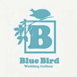 Blue-bird wedding