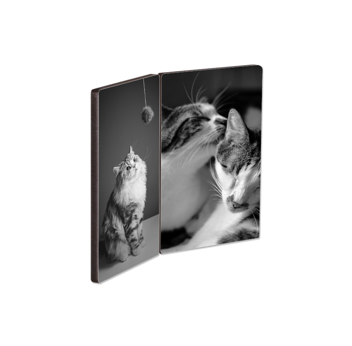 Hinged Photo Set - 3.5"x5" | 3.5"x5"