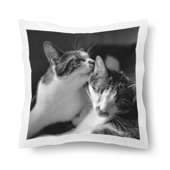 Cushion (Two-Sided Images)