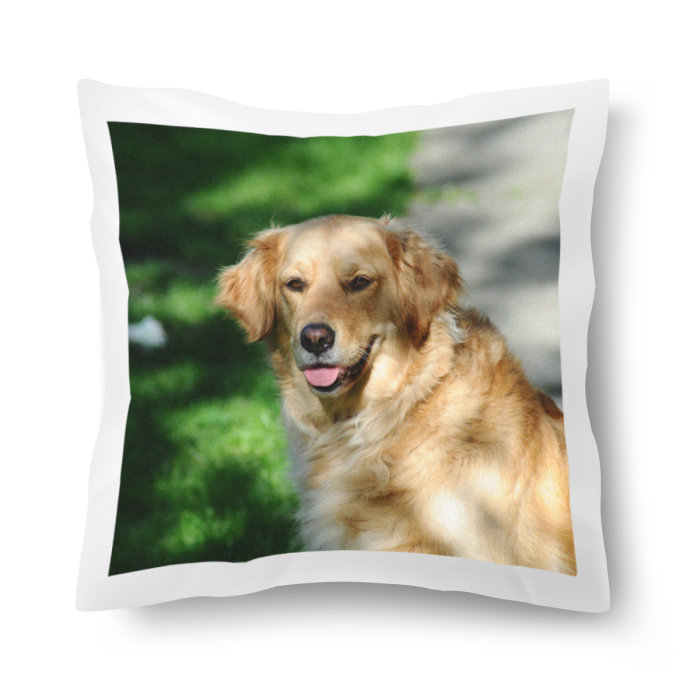 Cushion (Two-Sided Images)